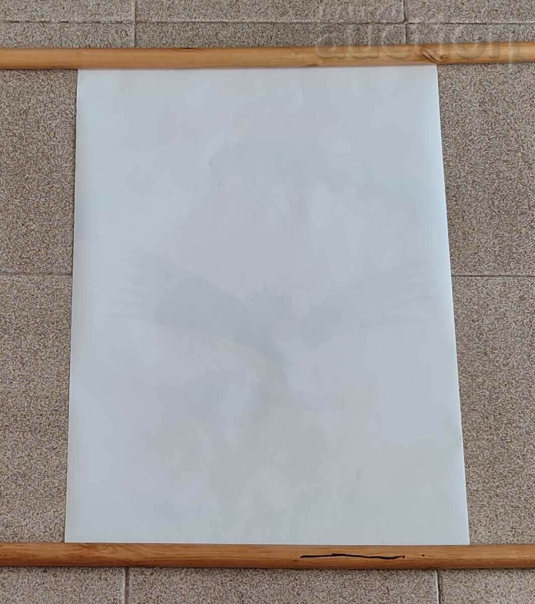 ΑΦΙΣΑ ΒΟΥΛΓΑΡΙΚΟΥ ΦΙΛΑΤΕΛΕΙΑΣ ΚΑΙ ΝΟΜΙΣΜΑΤΙΚΗΣ με τιμή 25.00 BGN | € 12.78