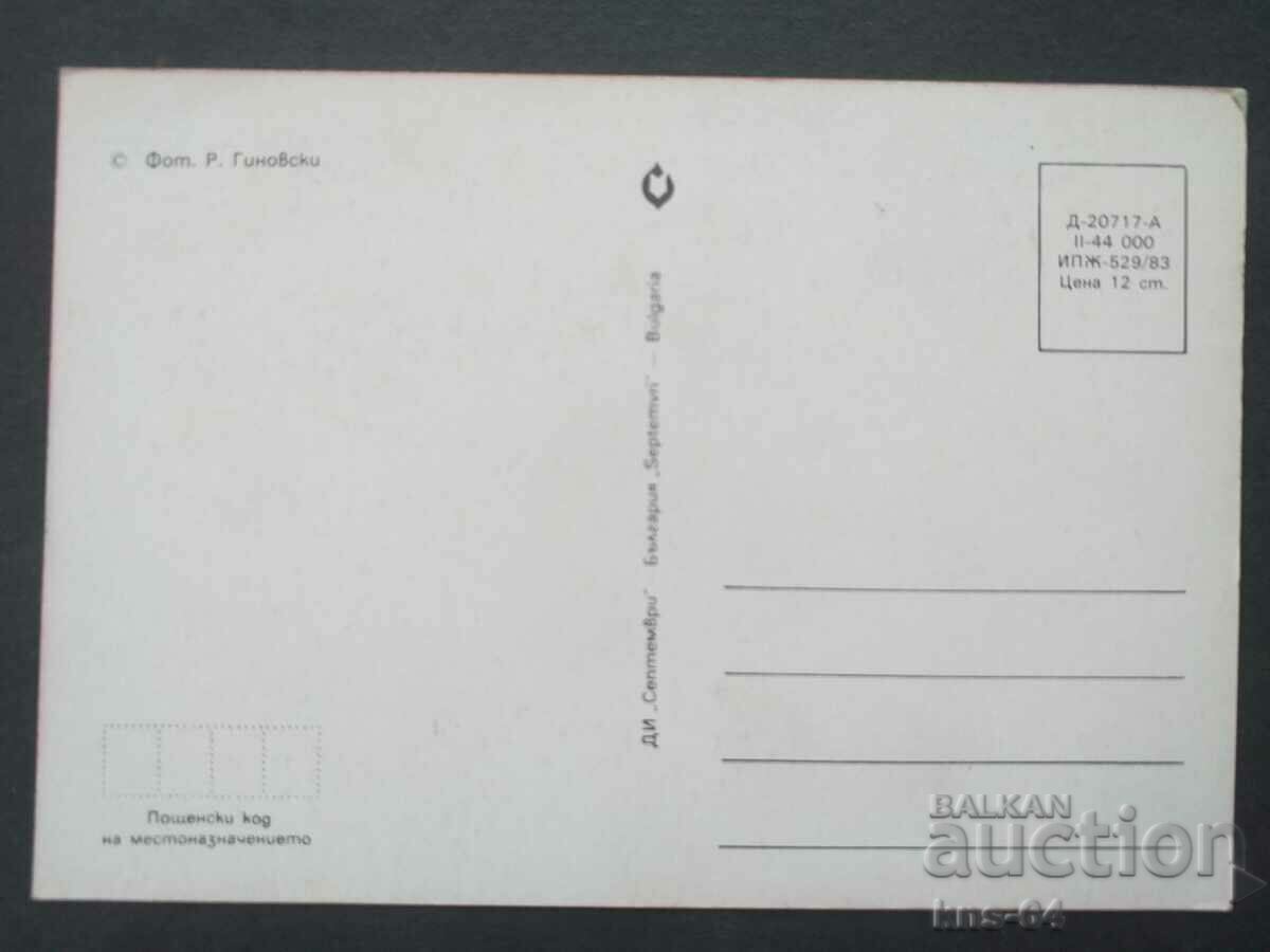 Cats with price 0.65 BGN | € 0.33 Cats with price 0.65 BGN | € 0.33