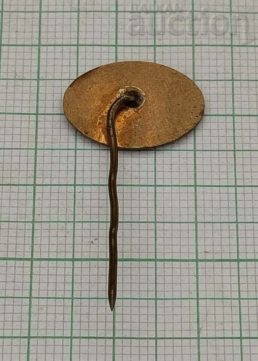 TRANSPORT TRADE UNIONS LOGO BADGE with price 5.00 BGN | € 2.56 TRANSPORT TRADE UNIONS LOGO BADGE with price 5.00 BGN | € 2.56