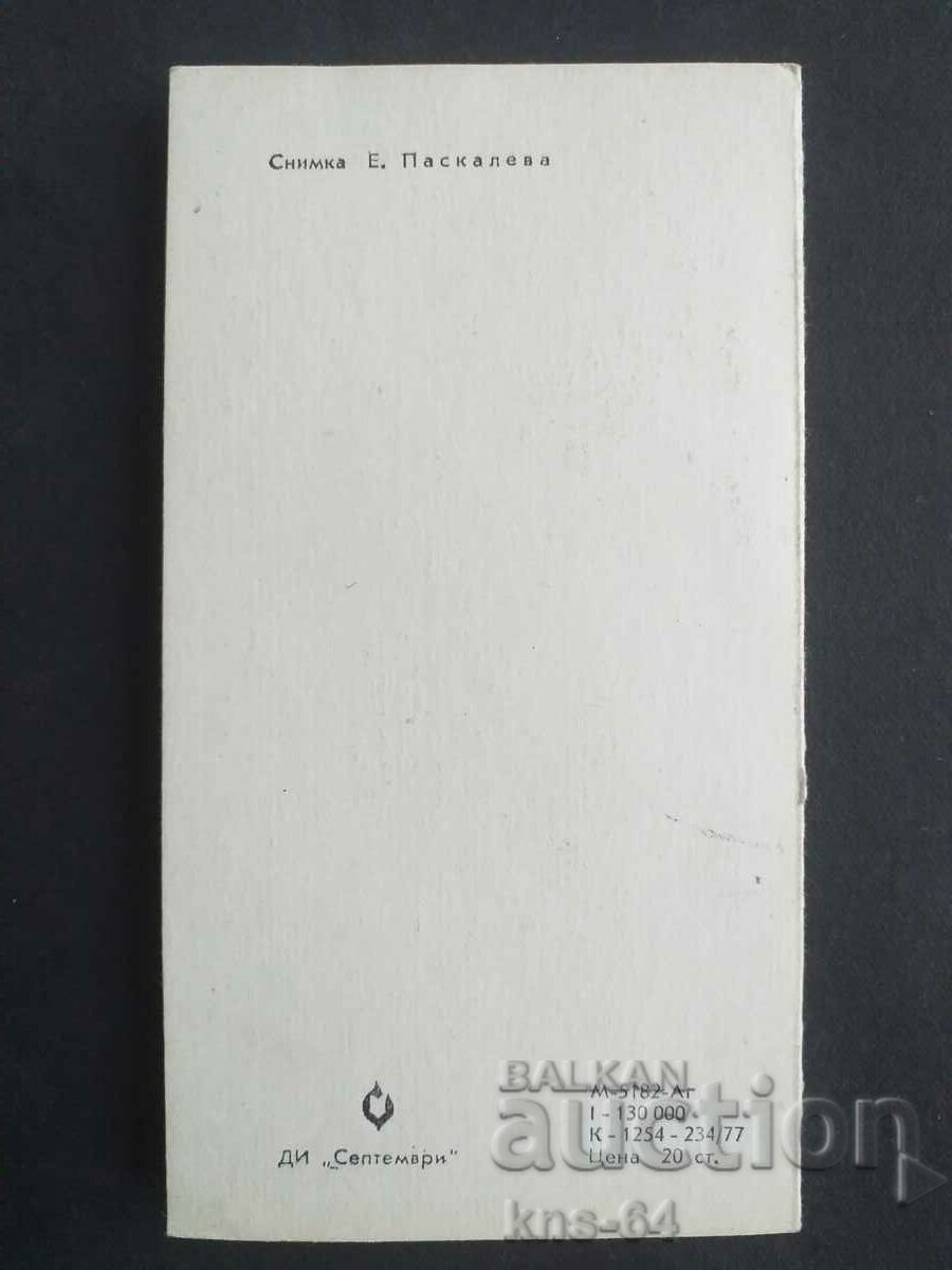 Аукцион Поздравителна Аукцион Поздравителна