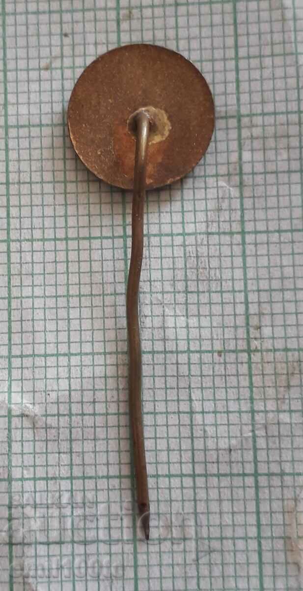 Badge - Electrical supply Electroimpex - bronze enamel - 5 Badge - Electrical supply Electroimpex - bronze enamel - 5