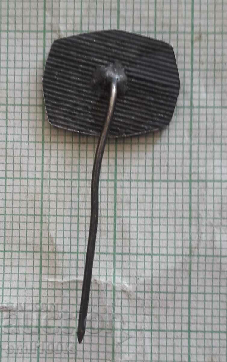 Delivery of Badge - Vidin Regional History Museum Delivery of Badge - Vidin Regional History Museum