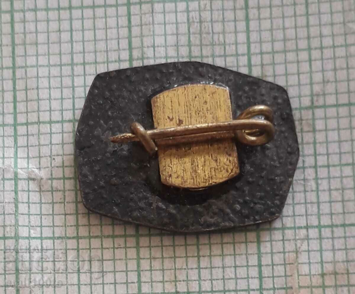 Delivery of Badge - Vidin Regional History Museum Delivery of Badge - Vidin Regional History Museum