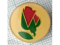 15204 Badge - BSP Bulgarian Socialist Party