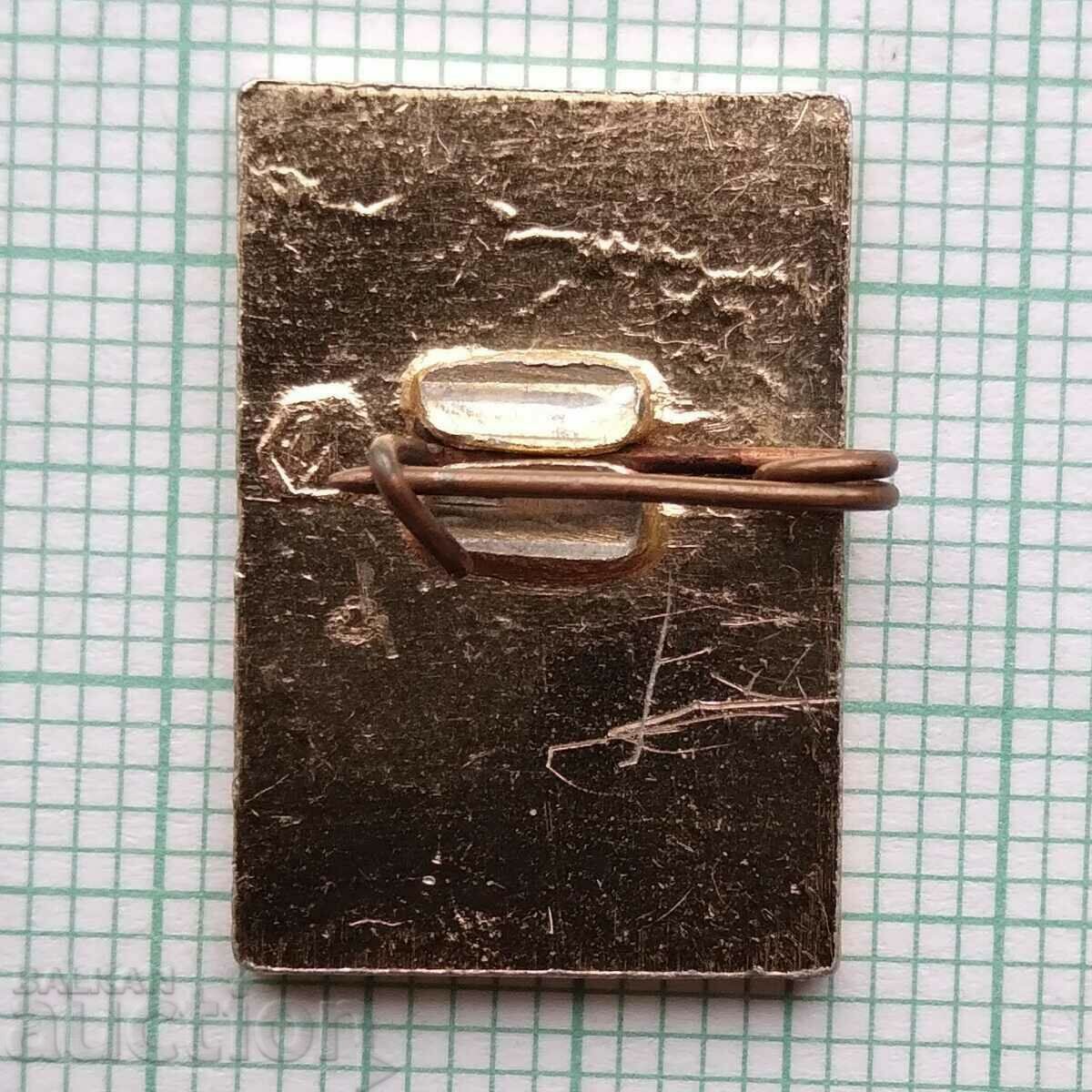 Auction 15211 Badge - Cosmos Luna 9 USSR Auction 15211 Badge - Cosmos Luna 9 USSR