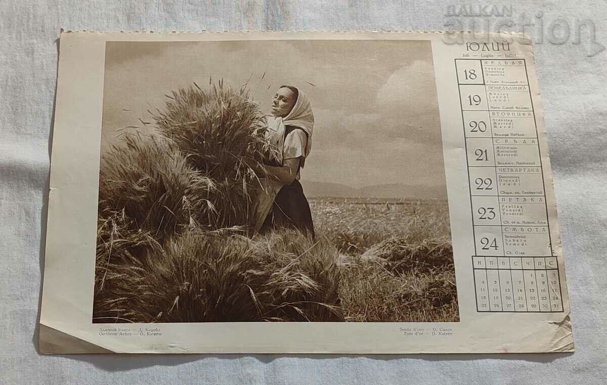 GOLD CLASS HARVEST OLD CALENDAR PHOTO 194..y.