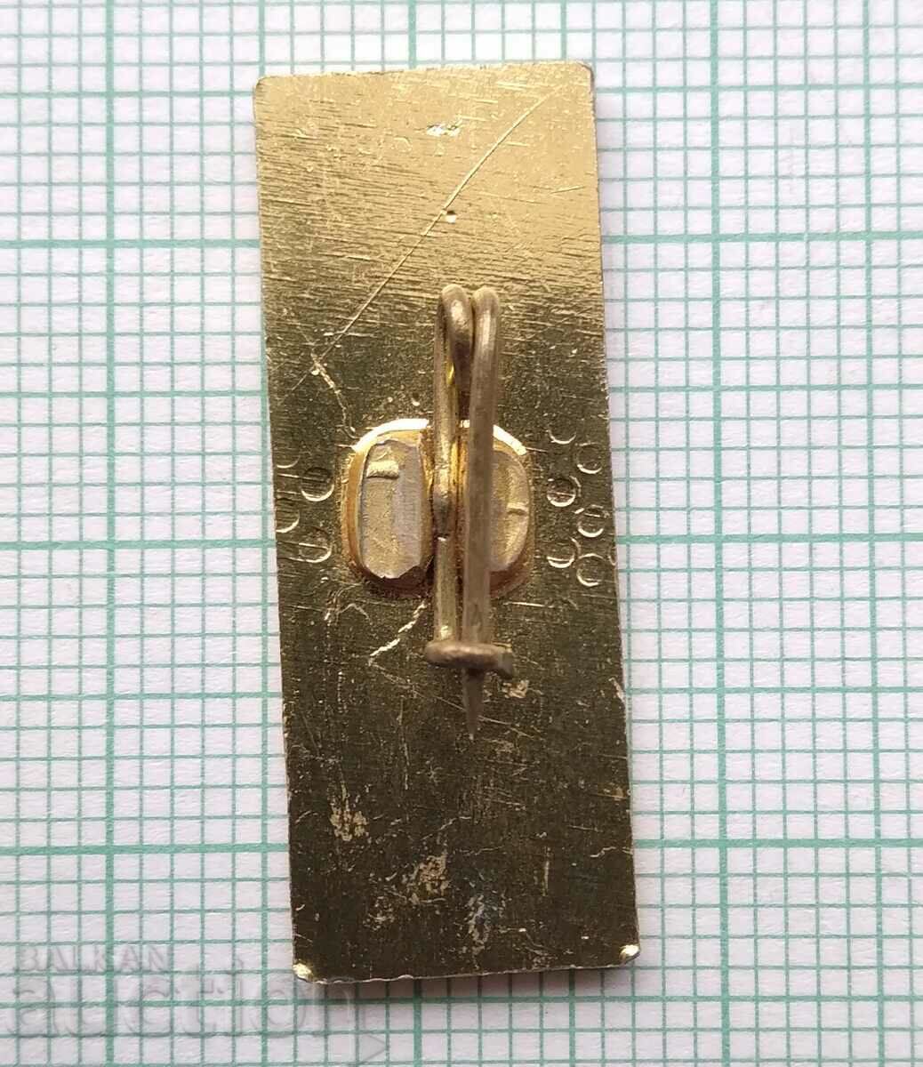 Auction 15223 Badge - TNTM Auction 15223 Badge - TNTM