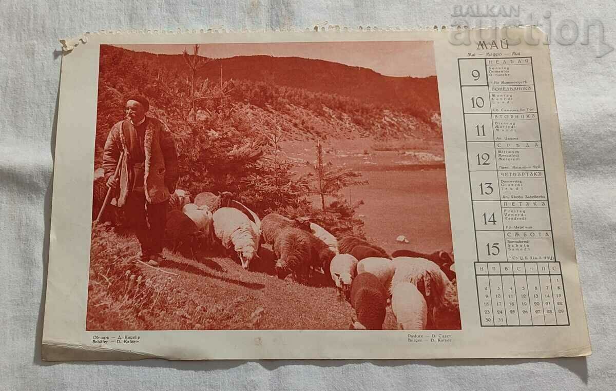 SHEPHERD WITH HIS FLOCK OLD CALENDAR PHOTO 194..y.