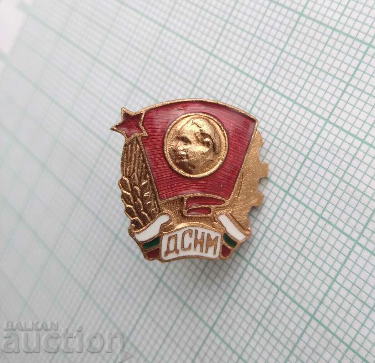 Auction 15224 DSNM National Youth Union - bronze enamel screw Auction 15224 DSNM National Youth Union - bronze enamel screw