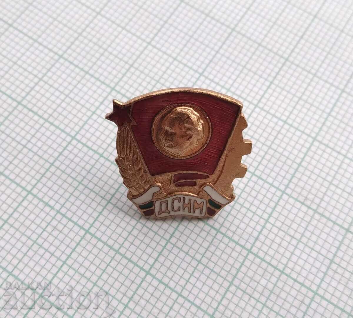 Delivery of 15224 DSNM National Youth Union - bronze enamel screw Delivery of 15224 DSNM National Youth Union - bronze enamel screw