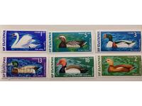 България - фауна, диви патици