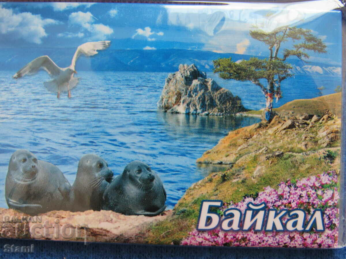 Authentic magnet from Lake Baikal, Russia-series-41 with price 7.50 BGN | € 3.83 Authentic magnet from Lake Baikal, Russia-series-41 with price 7.50 BGN | € 3.83