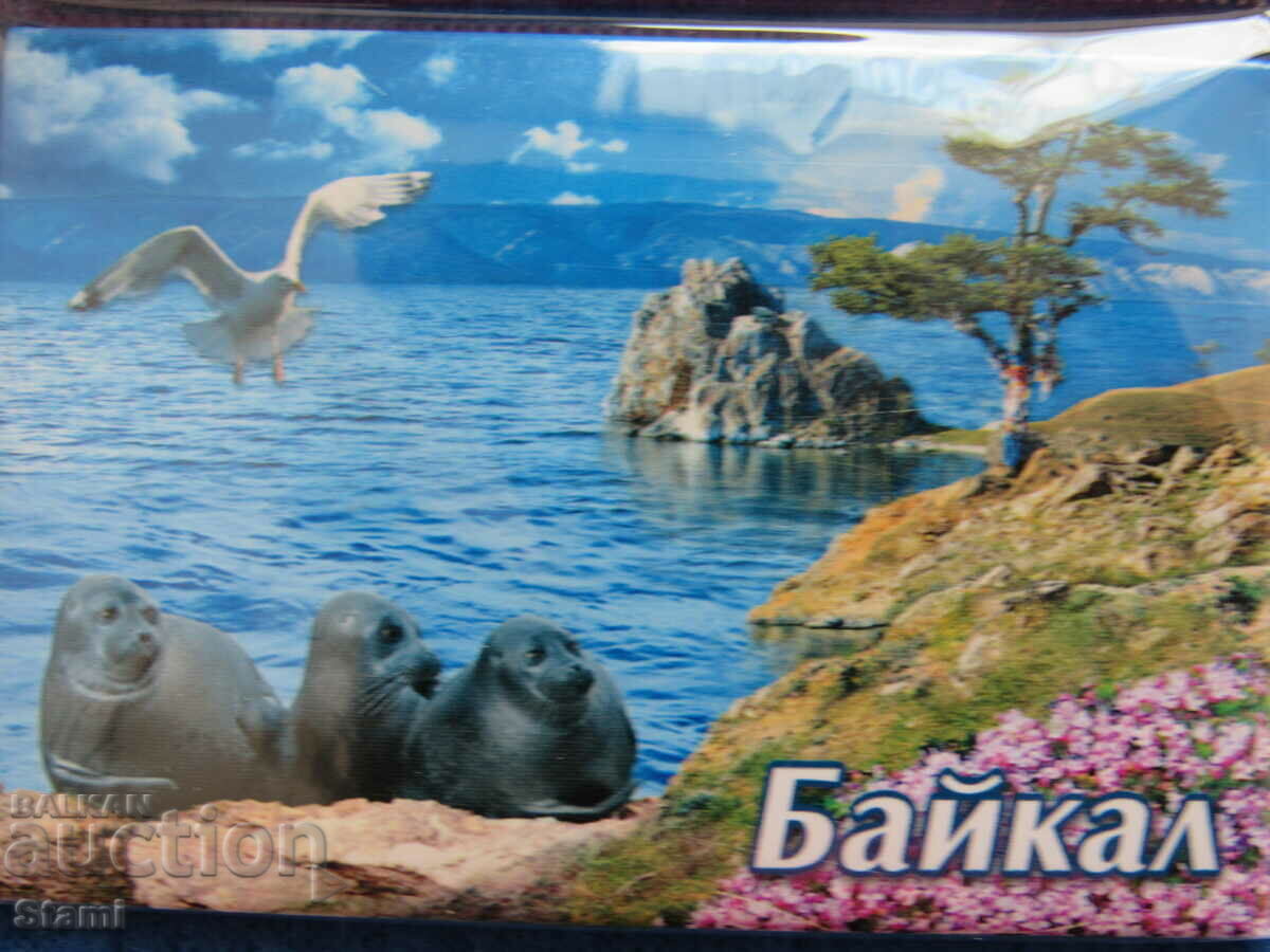 Auction Authentic magnet from Lake Baikal, Russia-series-41 Auction Authentic magnet from Lake Baikal, Russia-series-41