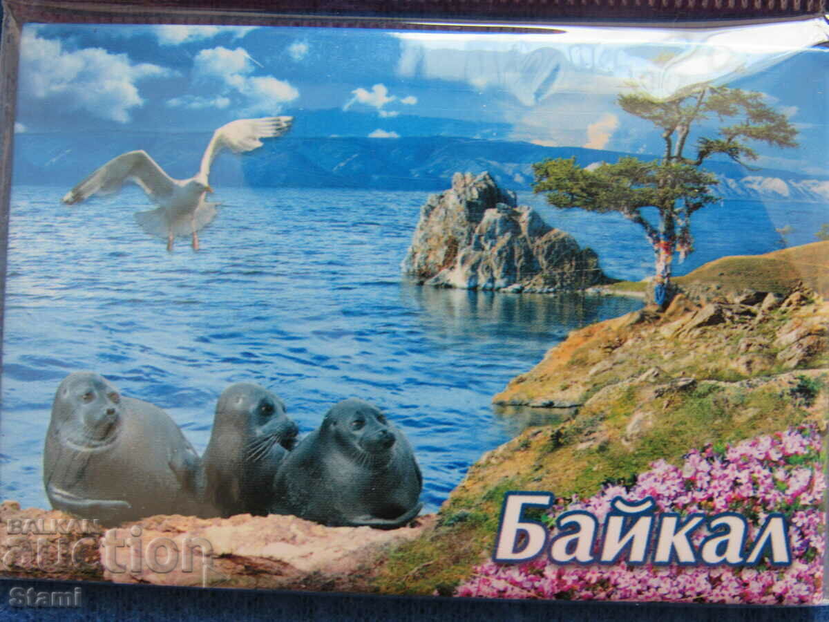 Authentic magnet from Lake Baikal, Russia-series-41