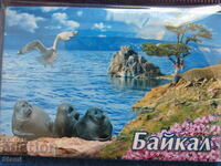 Authentic magnet from Lake Baikal, Russia-series-41
