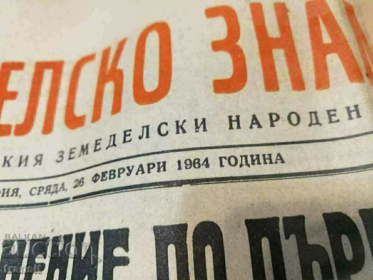 Παράδοση Νέα 1964 Παράδοση Νέα 1964