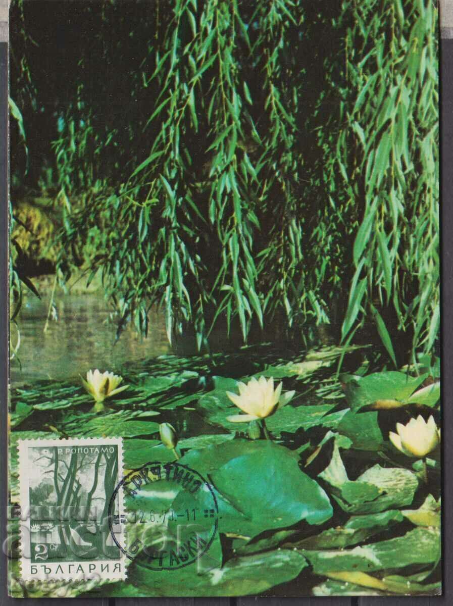 Card max. Ropotamo River, Arcutino Date Stamp 1979.