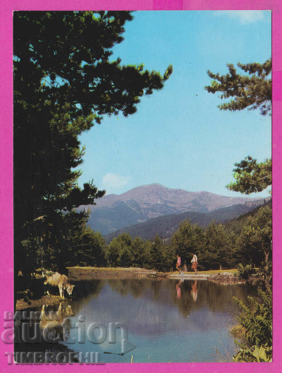 Auction 309280 / Pirin - Vasilashko Lake Akl-2030 Photo Edition PK Auction 309280 / Pirin - Vasilashko Lake Akl-2030 Photo Edition PK