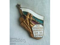 Insigna - „Pentru activitatea de muncă, Comitetul Central al DSNM”, Komsomol