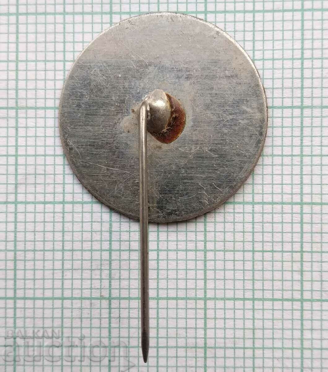 Licitație 15257 Insigna