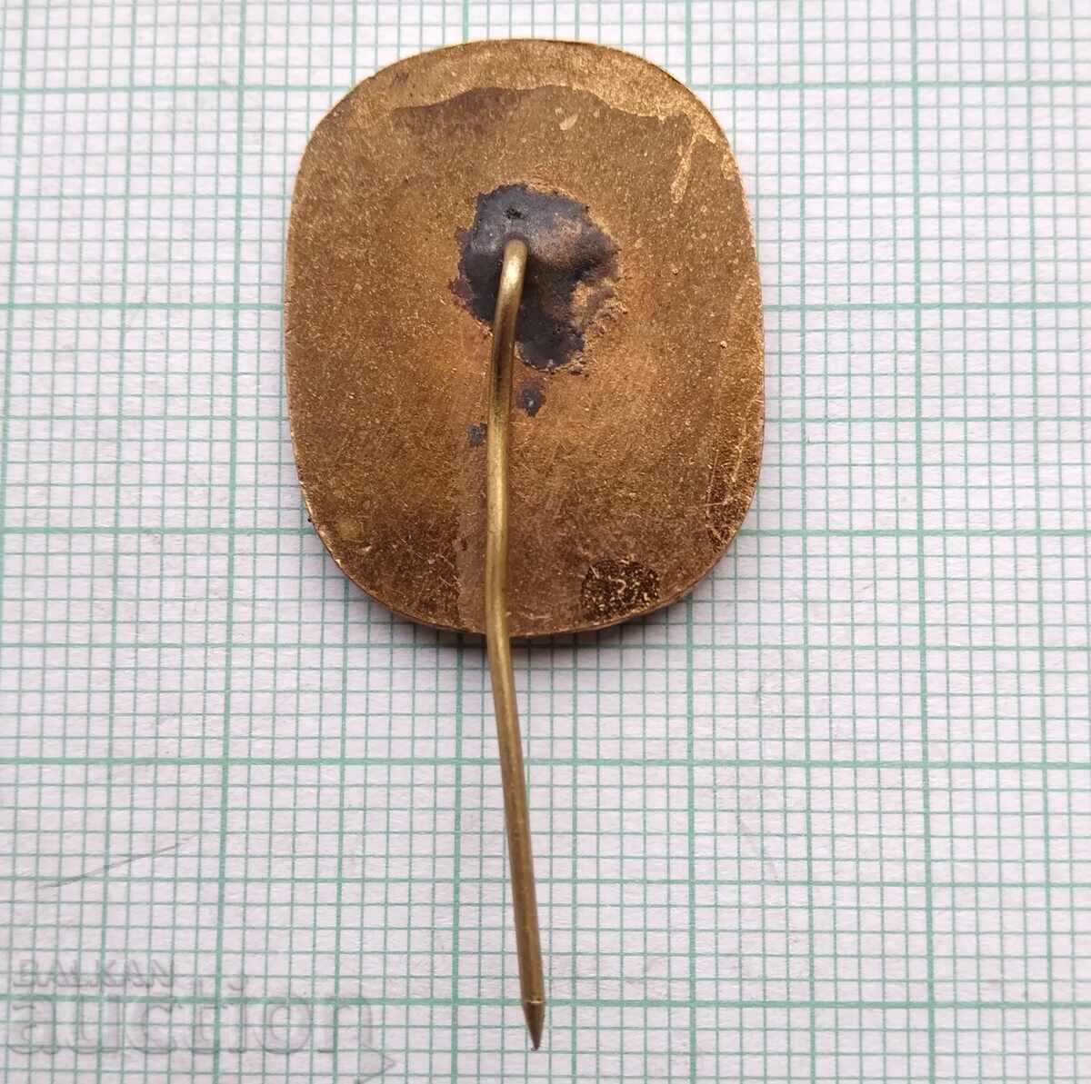 Auction 15268 Badge - Teachers Congress 1962 - Bronze Enamel Auction 15268 Badge - Teachers Congress 1962 - Bronze Enamel