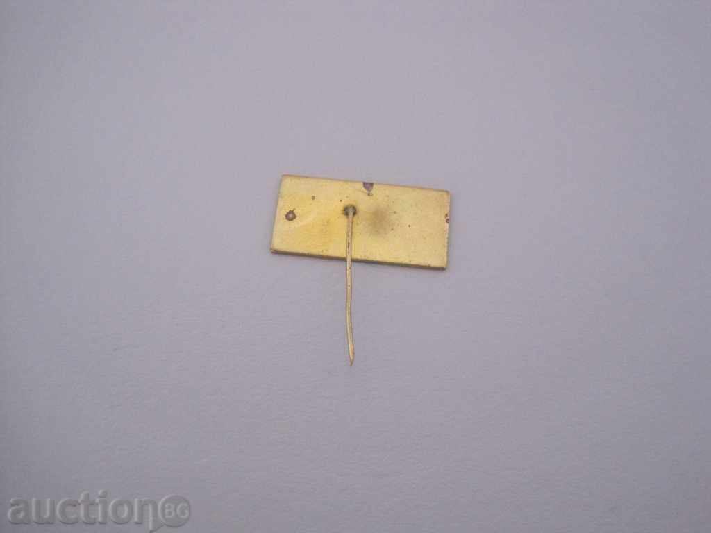 Доставка на Значка - Международен дом на журналистите-Варна Доставка на Значка - Международен дом на журналистите-Варна