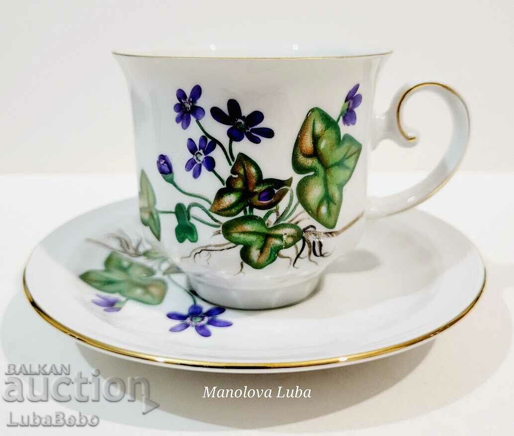 Carl von Linne porcelain cup and saucer, "Anemone Hepatica