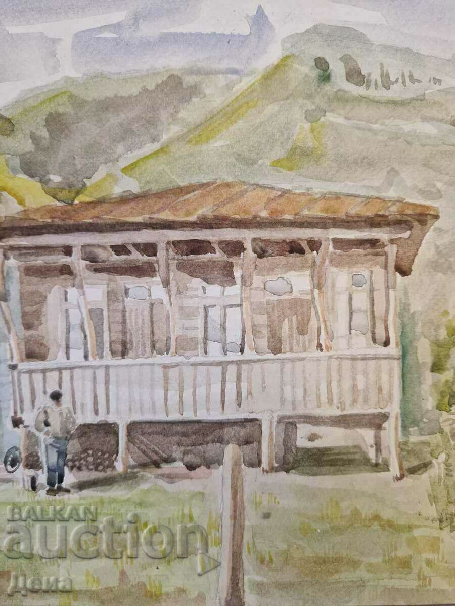 Livrarea Maestru acuarelă