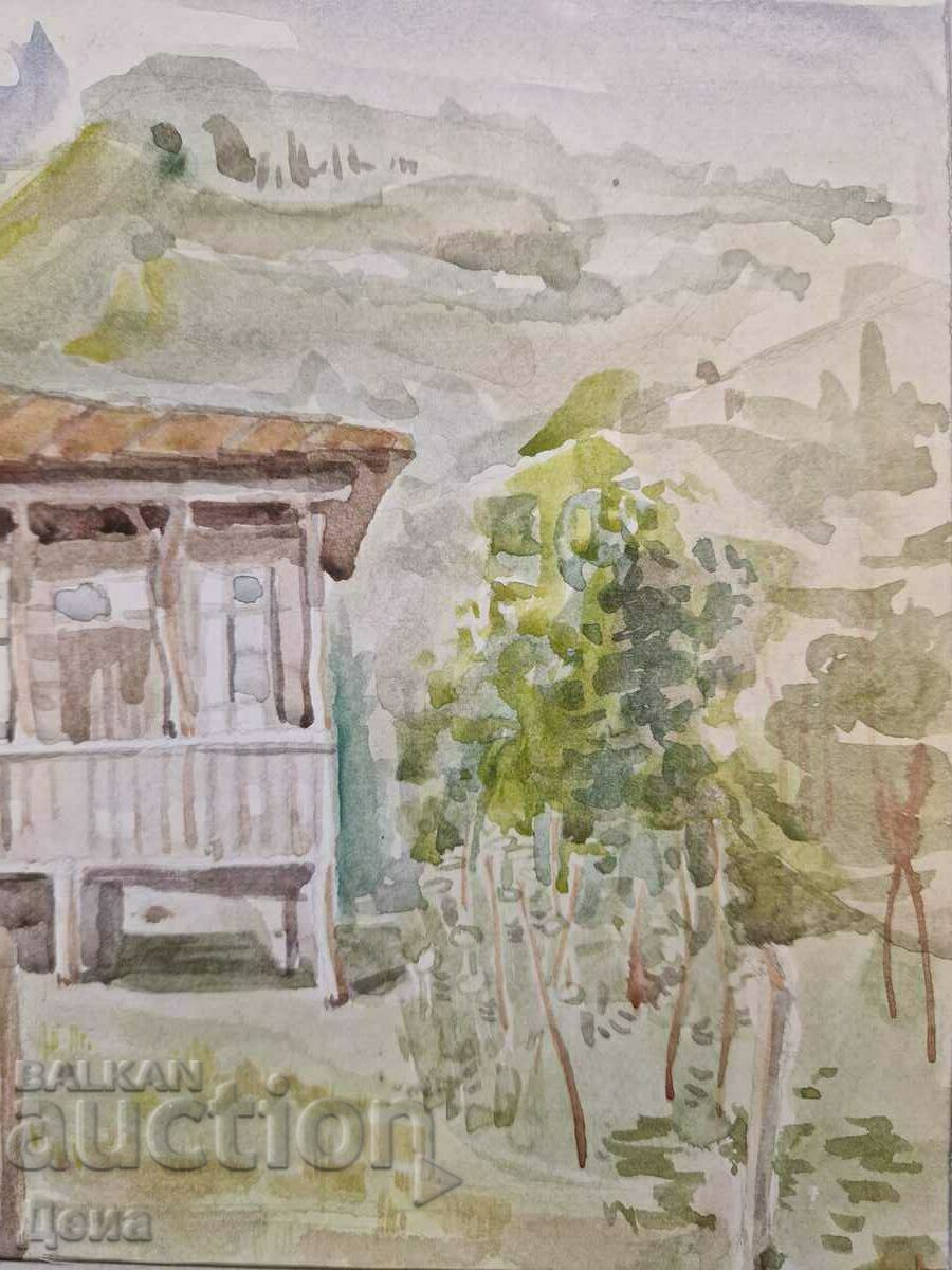 Maestru acuarelă - 5 Maestru acuarelă - 5