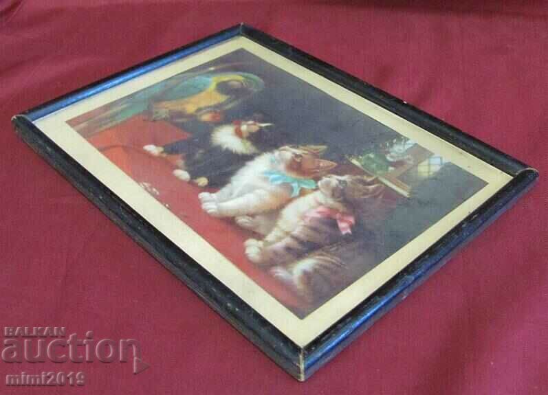 19th century Color Lithograph - 5