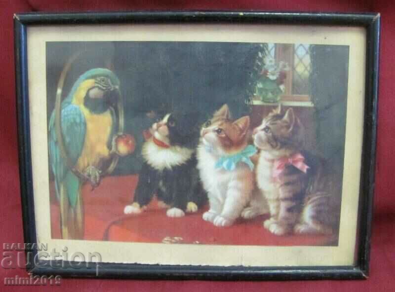 19th century Color Lithograph - 7