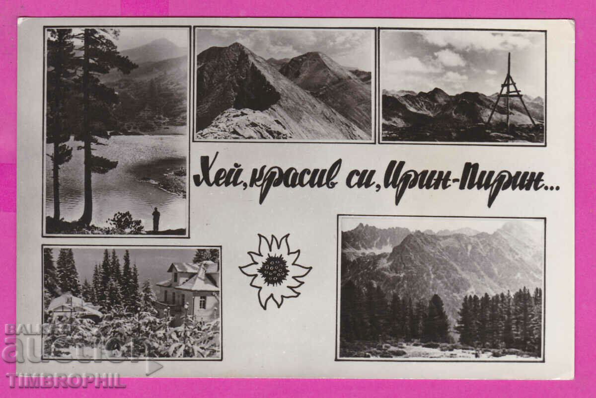 Licitație 309283 / Pirin - Hei, esti frumoasa, Pirin Pirin.... !!!! Licitație 309283 / Pirin - Hei, esti frumoasa, Pirin Pirin.... !!!!