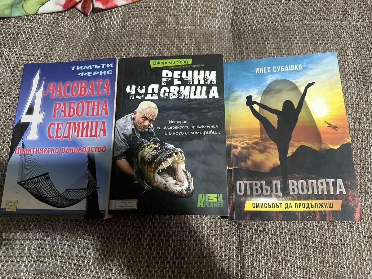 Лот 3 книги