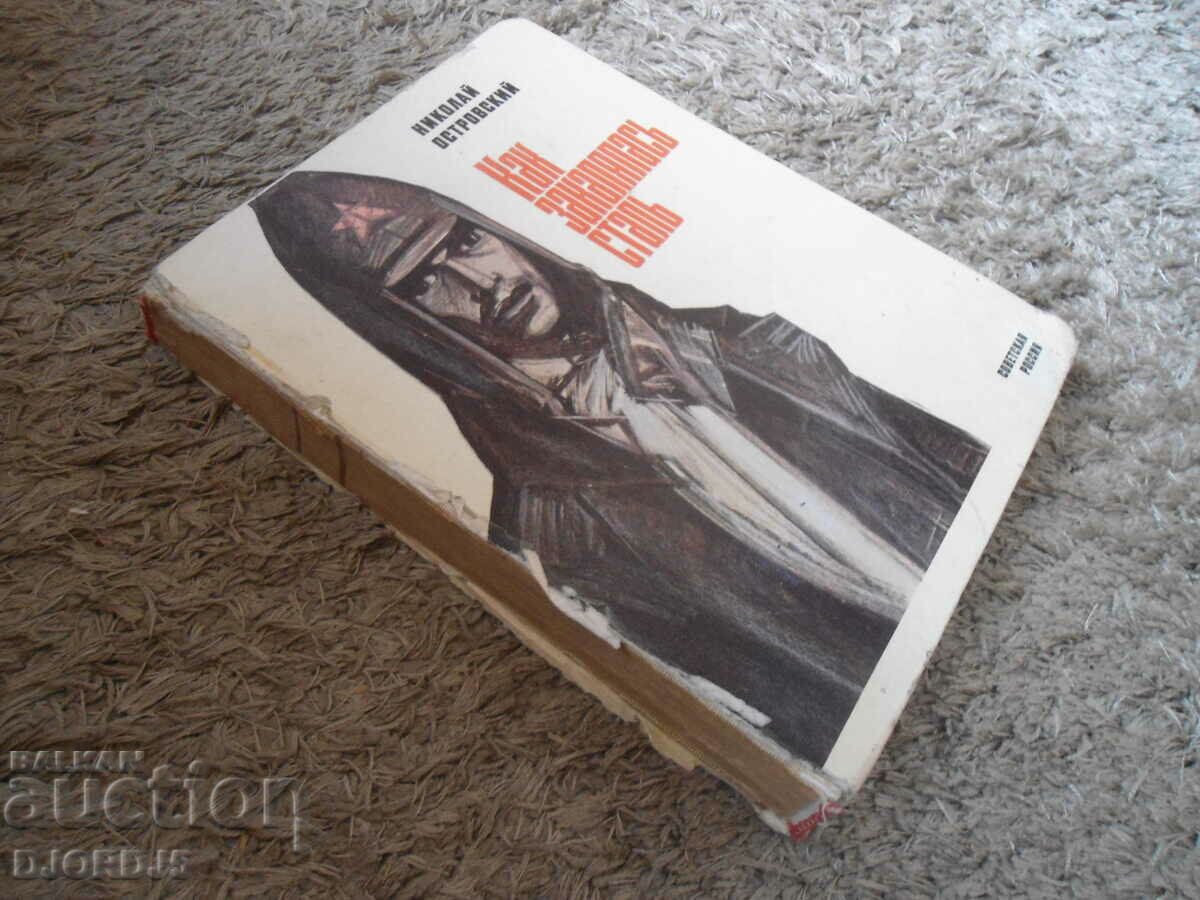 How steel was tempered, Nikolay Ostrovsky - 6 How steel was tempered, Nikolay Ostrovsky - 6