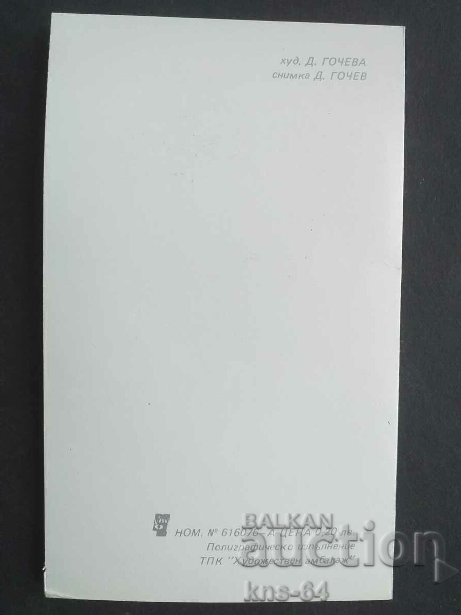 Auction CHNG Congratulations Auction CHNG Congratulations