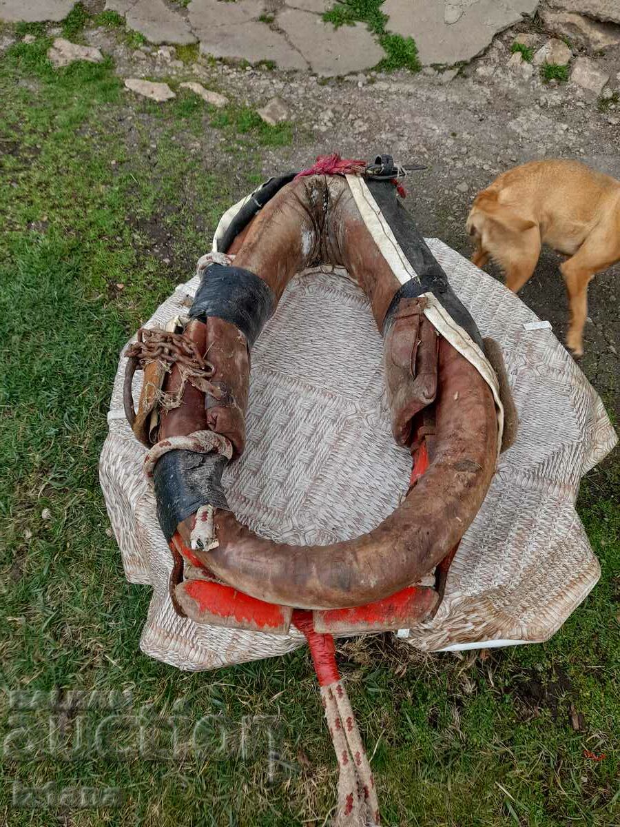 Ancient Hamut - 5 Ancient Hamut - 5