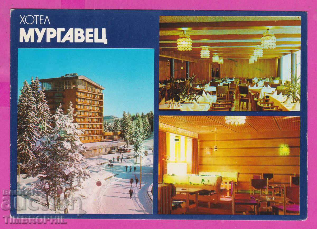 309405 / Пампорово - Хотел Мергавец 1980 Септември ПК