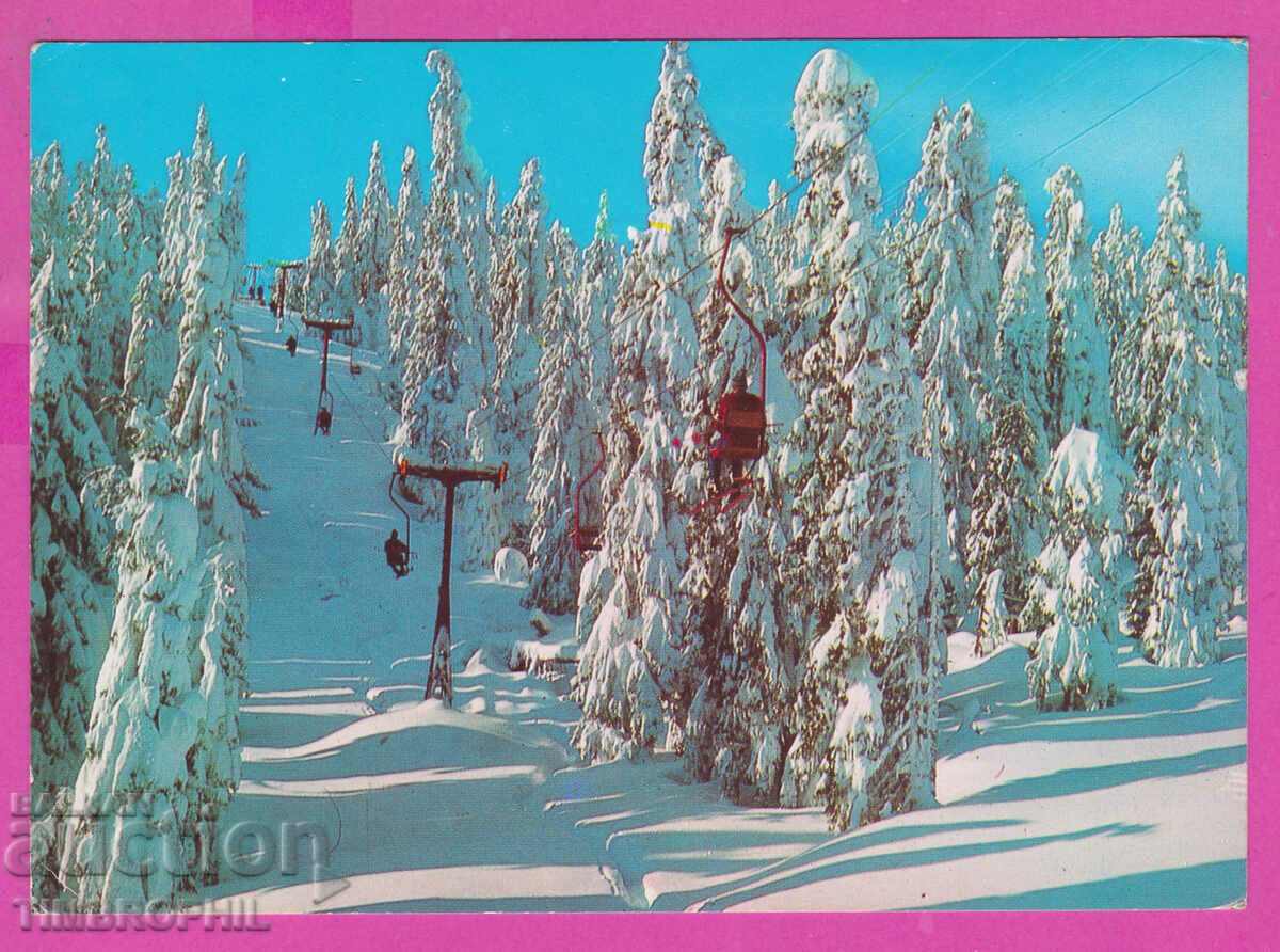 309417 / Пампорово - Лифта към вр. Снежанка 1983 Септември