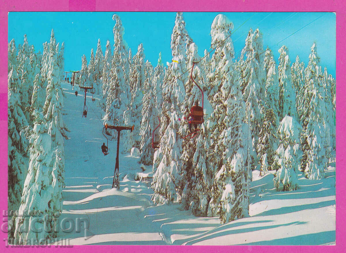 309418 / Пампорово - Лифтът към вр. Снежанка 1983 Септември