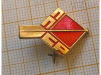Small USSR badge