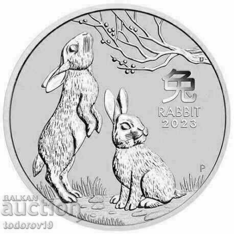 Silver Lunar Year of the Rabbit 2023 1 oz