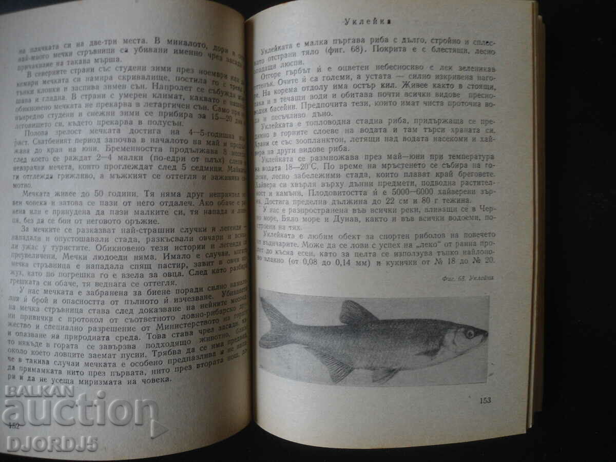 Παράδοση Για τον νεαρό κυνηγό και ψαρά Παράδοση Για τον νεαρό κυνηγό και ψαρά