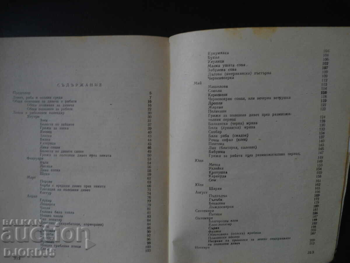 Για τον νεαρό κυνηγό και ψαρά - 5 Για τον νεαρό κυνηγό και ψαρά - 5