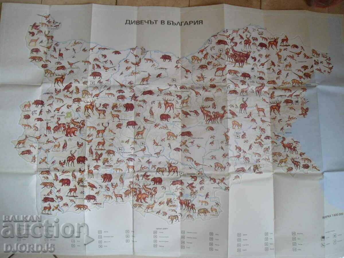 Game in Bulgaria with price 5.00 BGN | € 2.56