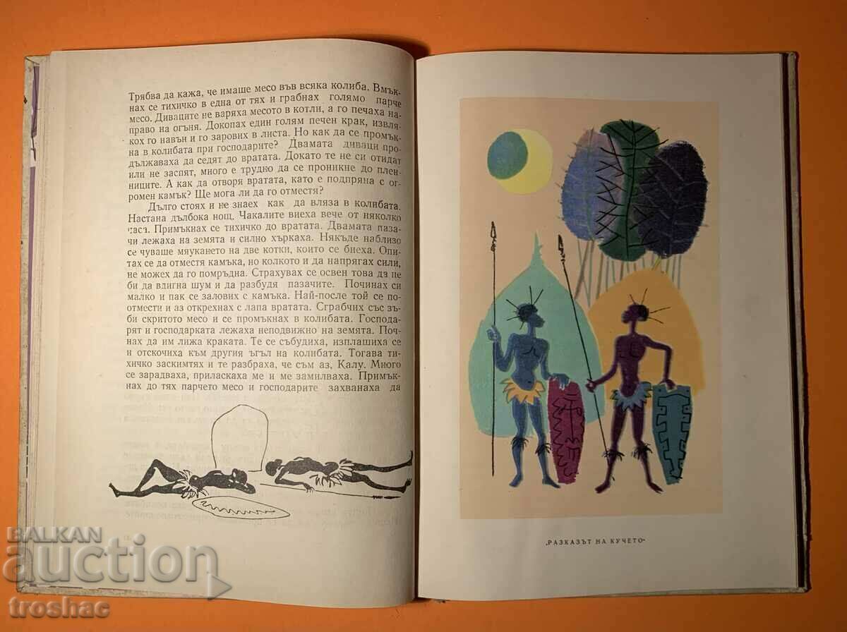 Livrarea Cartea veche Piatra șarpelui 1961