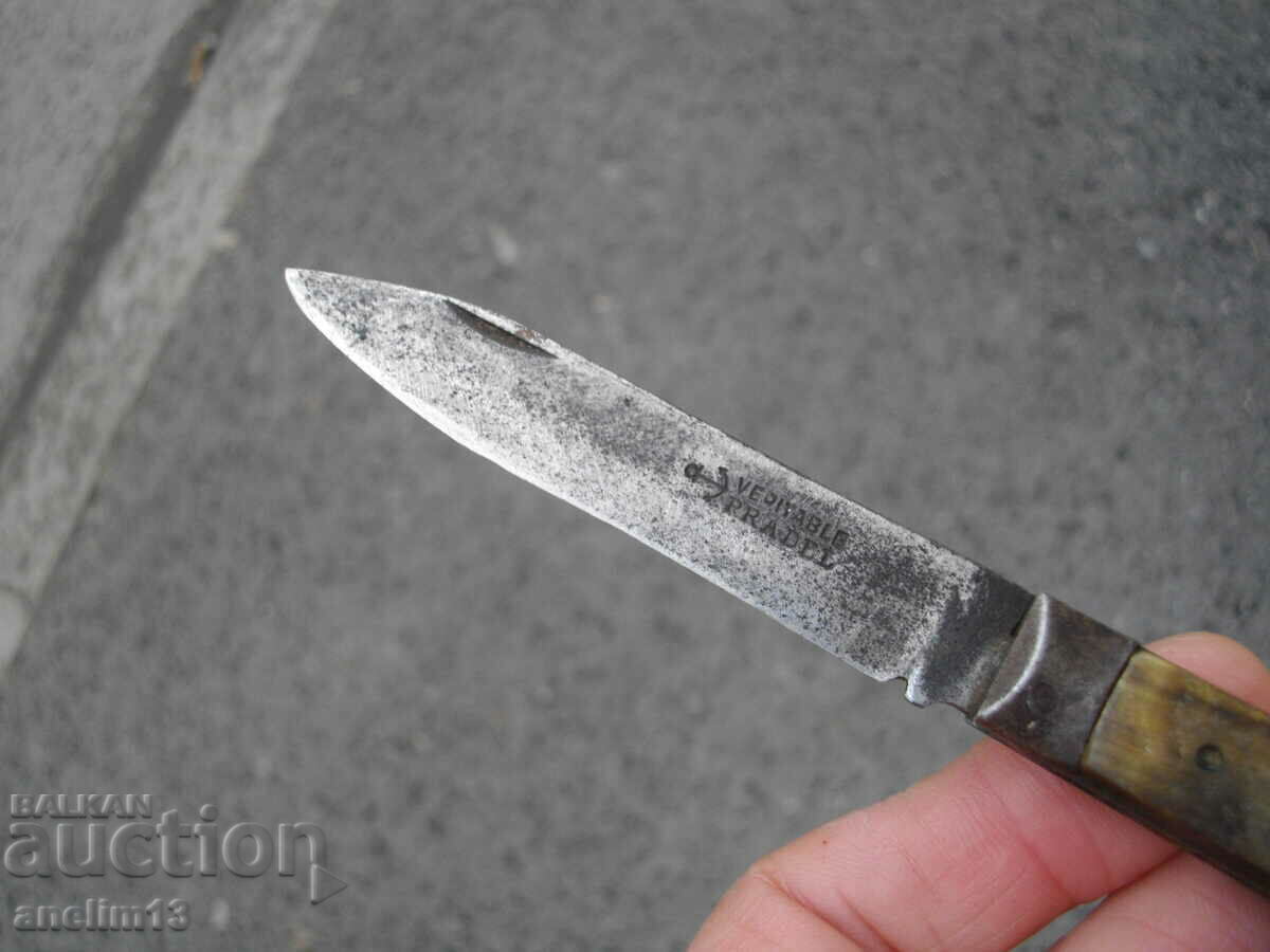 CUIT DE BUZUUNAR DE COLECTOR PRADEL - 5 CUIT DE BUZUUNAR DE COLECTOR PRADEL - 5