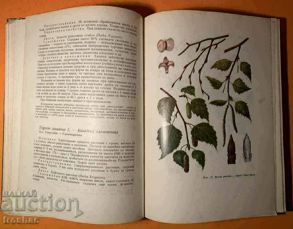 Cartea veche Fitoterapie Medicina pe bază de plante 1966