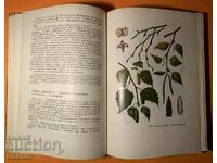 Cartea veche Fitoterapie Medicina pe bază de plante 1966