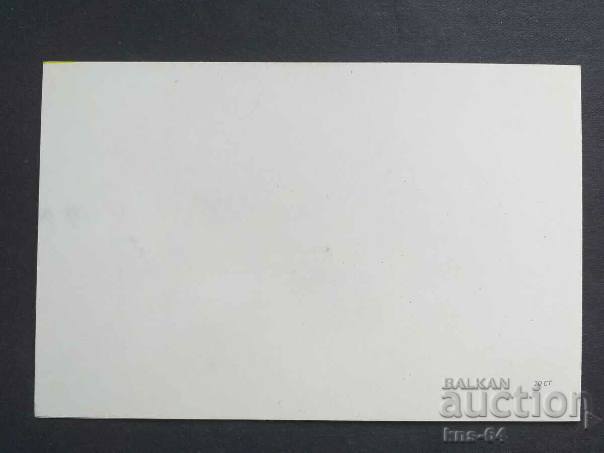 Auction Congratulatory Auction Congratulatory