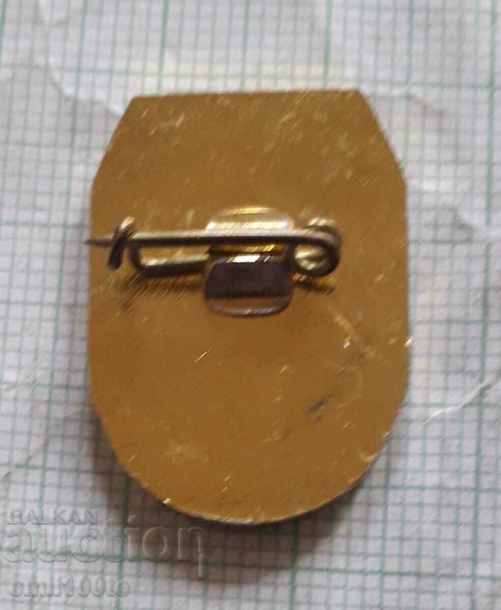 Delivery of Badge - NRB OSO Defense Assistance Organization Delivery of Badge - NRB OSO Defense Assistance Organization